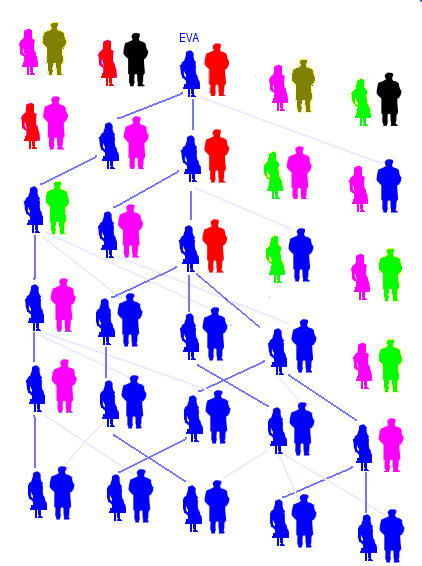 Ejemplo de un árbol genealógico simplificado de la Eva mitocondrial y sus descendientes.