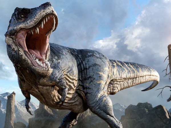 Los ojos de los Tiranosaurios&nbsp;rex