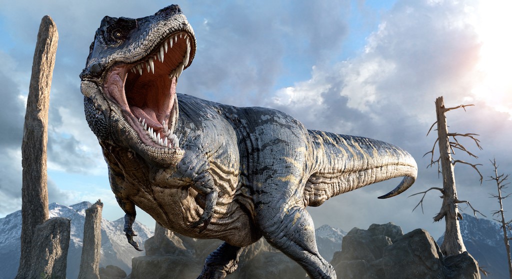 Los ojos de los Tiranosaurios rex